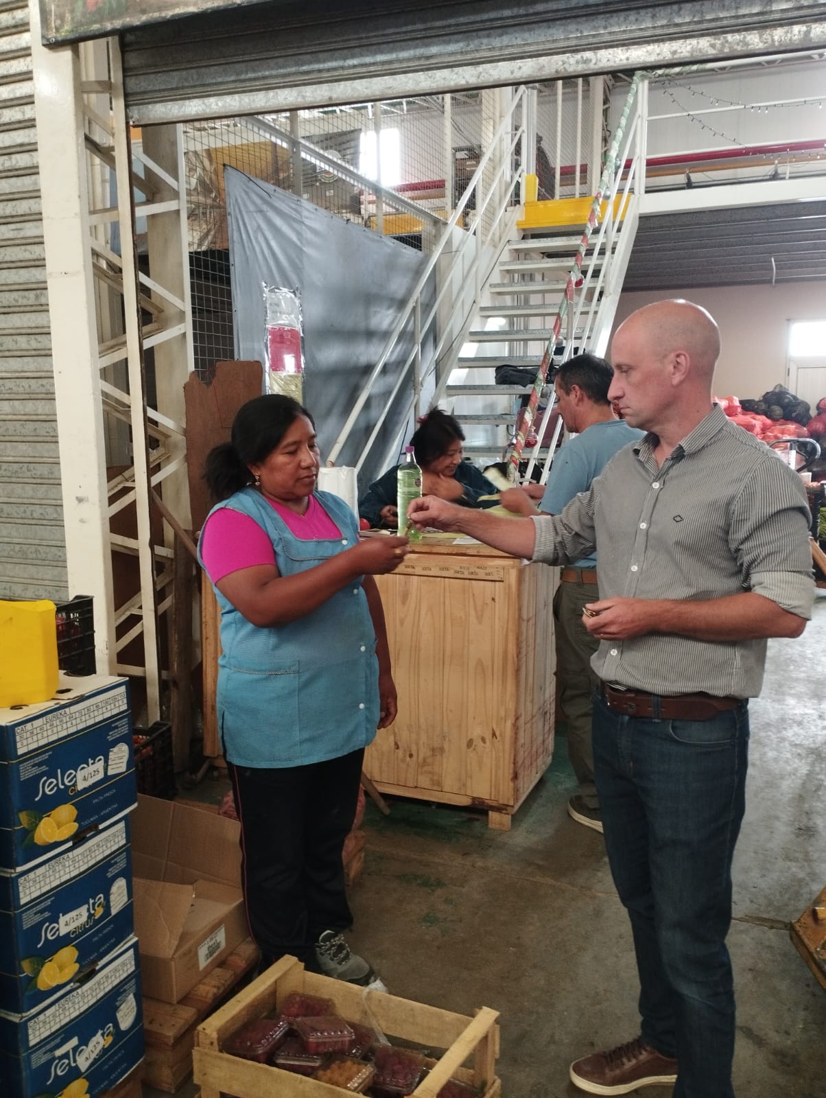 El Mercado Concentrador Chubut entregó un nuevo espacio de comercialización a productores del VIRCh